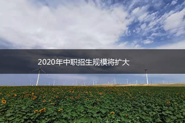 2020年中职招生规模将扩大