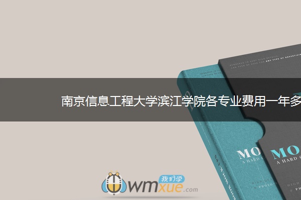 南京信息工程大学滨江学院各专业费用一年多少钱