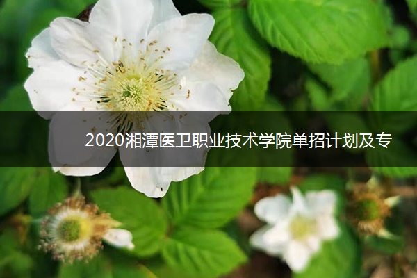 2020湘潭医卫职业技术学院单招计划及专业