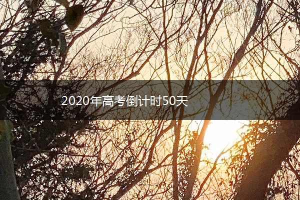 2020年高考倒计时50天