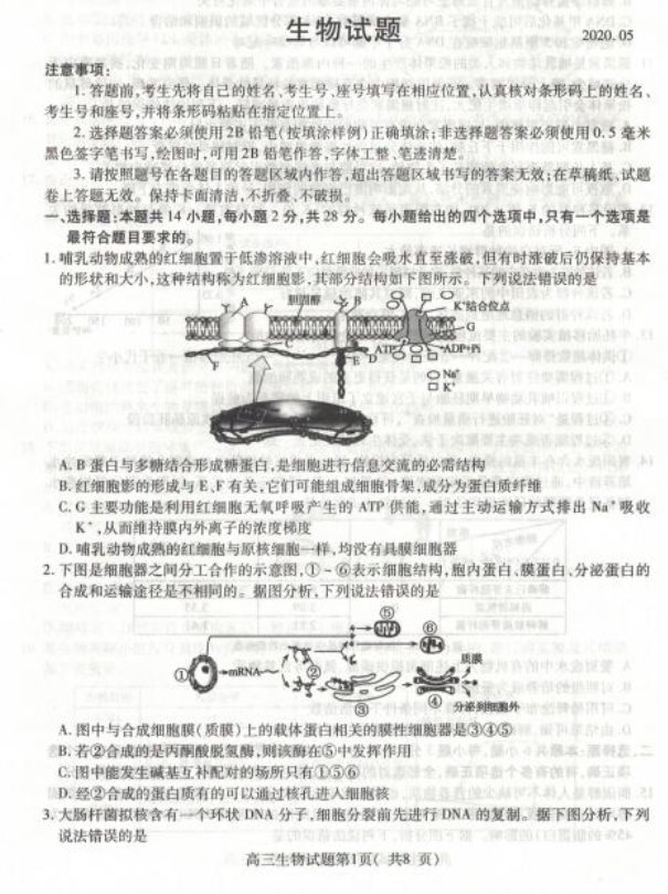 2020届山东省高三生物5月高考模拟试题