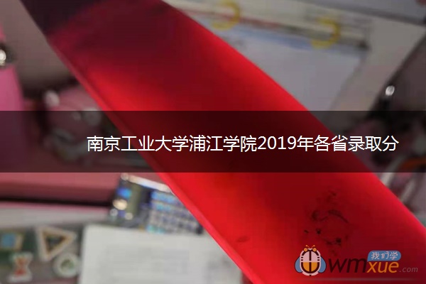 南京工业大学浦江学院2019年各省录取分数线详情