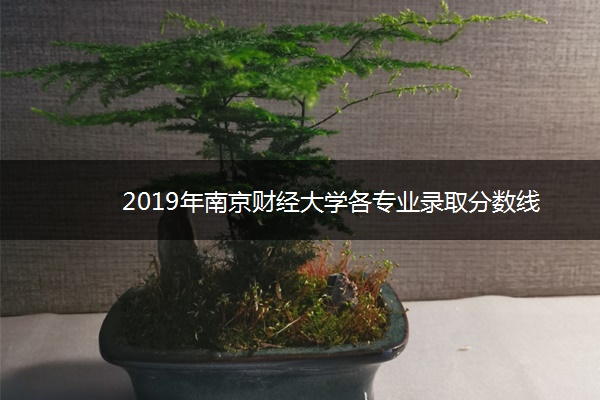 2019年南京财经大学各专业录取分数线