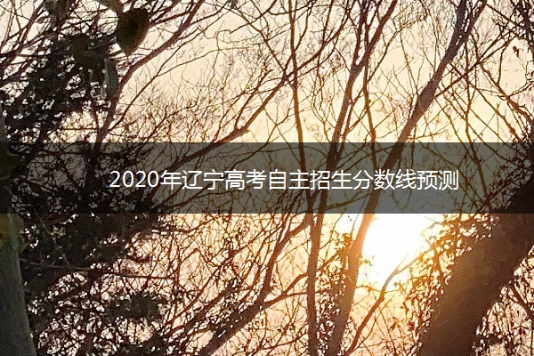 2020年辽宁高考自主招生分数线预测