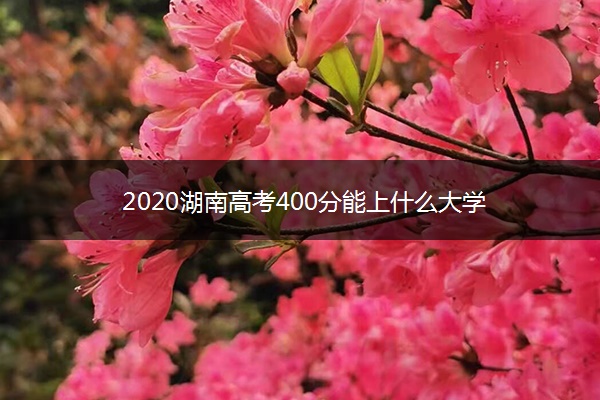 2020湖南高考400分能上什么大学