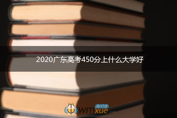 2020广东高考450分上什么大学好