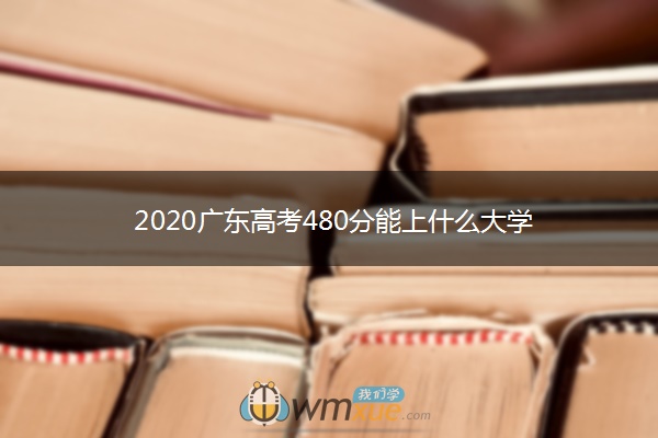 2020广东高考480分能上什么大学