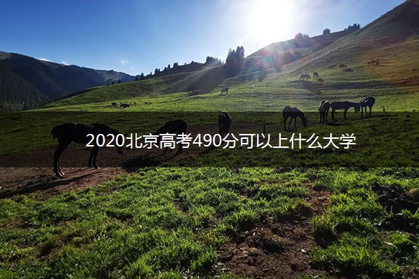 2020北京高考490分可以上什么大学