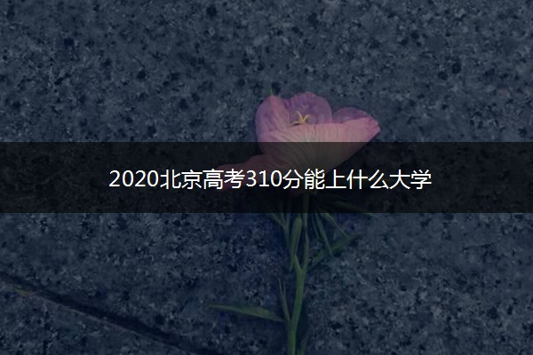 2020北京高考310分能上什么大学