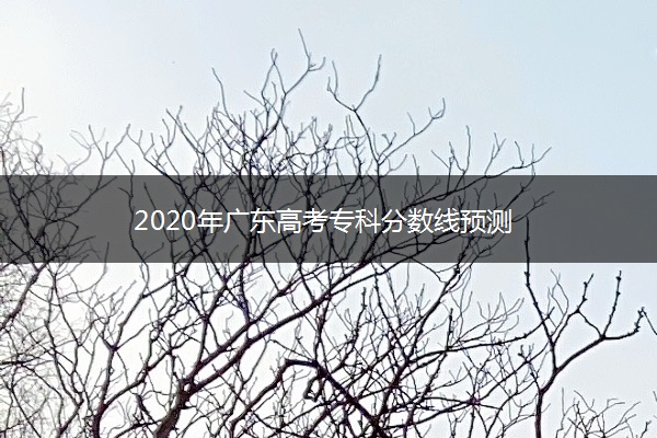 2020年广东高考专科分数线预测