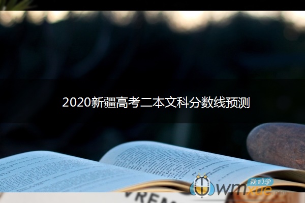 2020新疆高考二本文科分数线预测