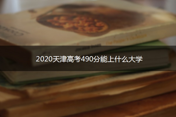 2020天津高考490分能上什么大学