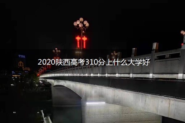 2020陕西高考310分上什么大学好