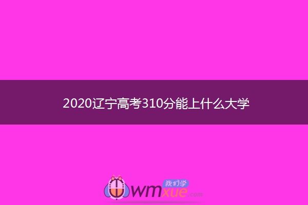 2020辽宁高考310分能上什么大学