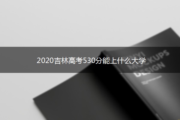 2020吉林高考530分能上什么大学