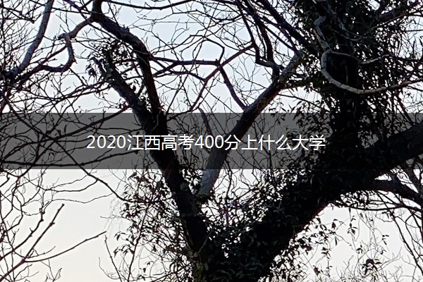 2020江西高考400分上什么大学