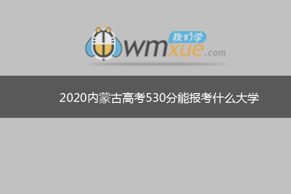 2020内蒙古高考530分能报考什么大学