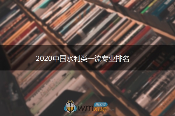 2020中国水利类一流专业排名