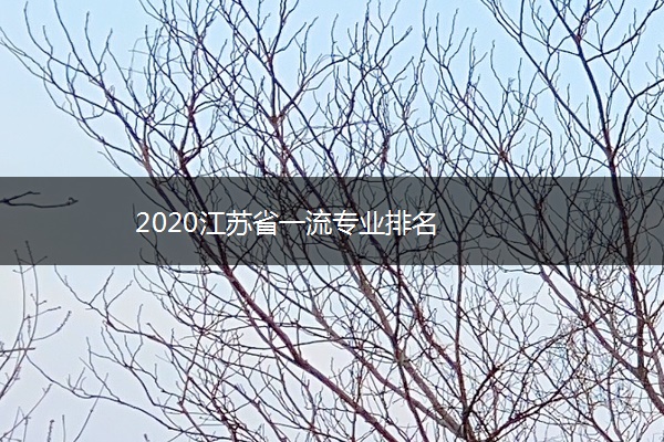 2020江苏省一流专业排名