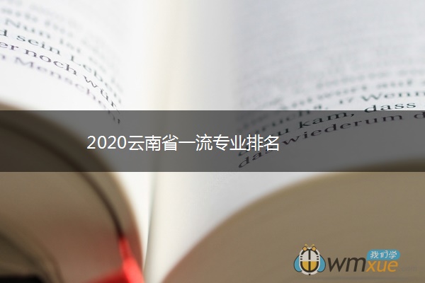 2020云南省一流专业排名