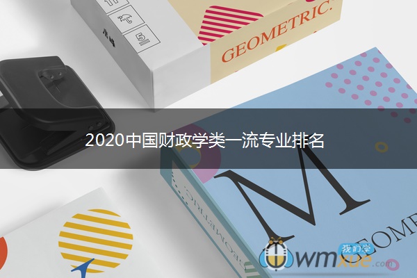 2020中国财政学类一流专业排名