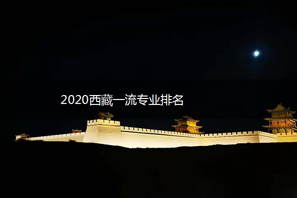 2020西藏一流专业排名