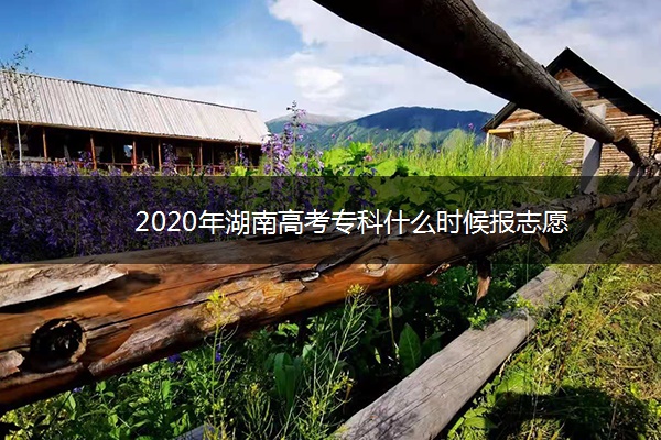 2020年湖南高考专科什么时候报志愿