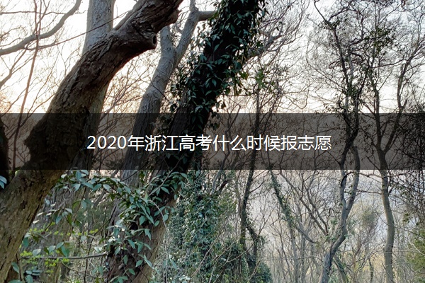 2020年浙江高考什么时候报志愿