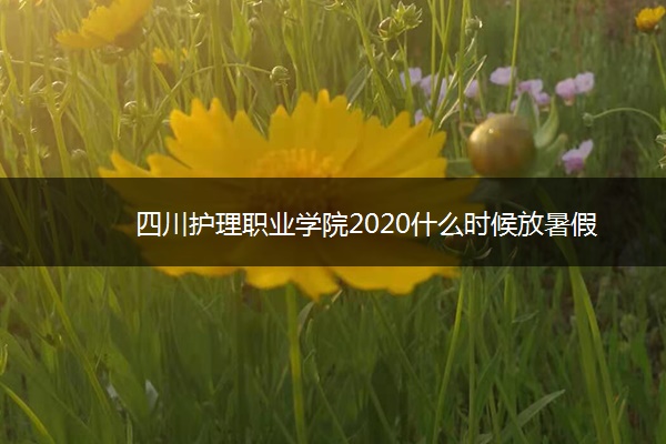 四川护理职业学院2020什么时候放暑假