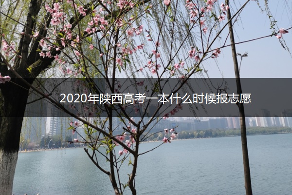 2020年陕西高考一本什么时候报志愿