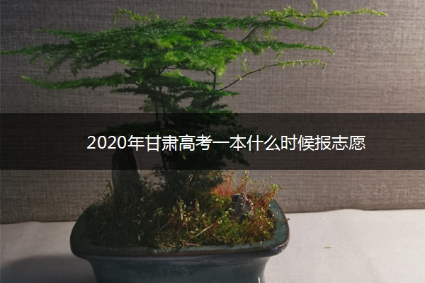 2020年甘肃高考一本什么时候报志愿