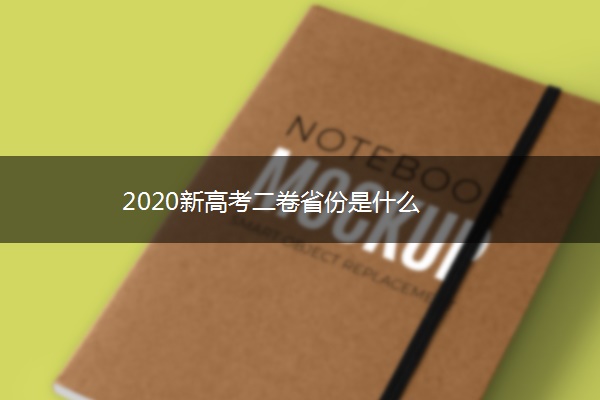 2020新高考二卷省份是什么