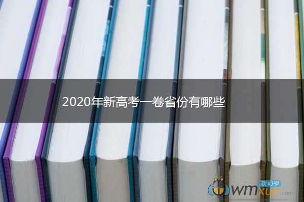 2020年新高考一卷省份有哪些