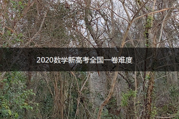 2020数学新高考全国一卷难度