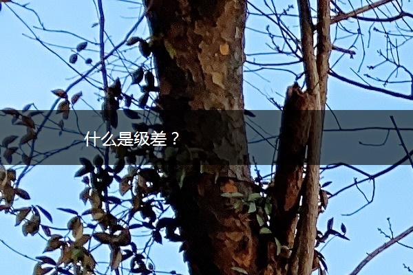 什么是级差？
