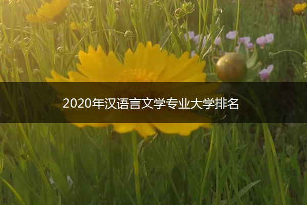 2020年汉语言文学专业大学排名