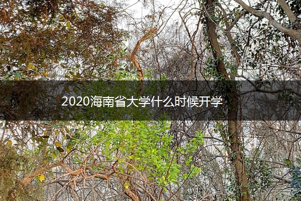 2020海南省大学什么时候开学