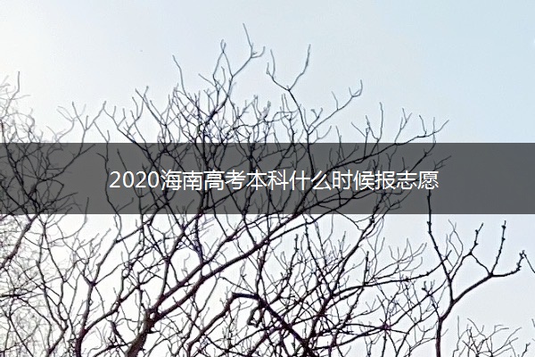 2020海南高考本科什么时候报志愿