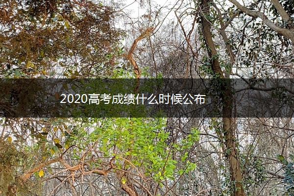 2020高考成绩什么时候公布