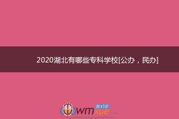 2020湖北有哪些专科学校[公办，民办]
