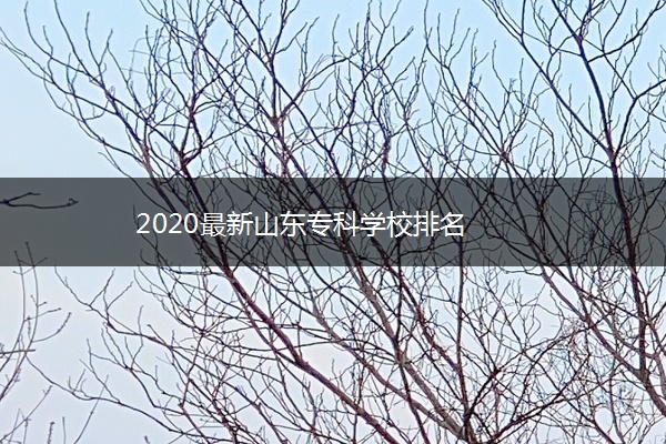 2020最新山东专科学校排名