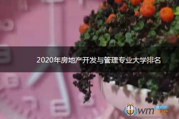 2020年房地产开发与管理专业大学排名