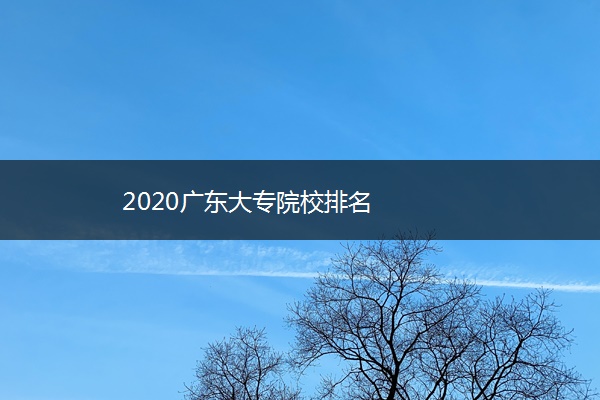 2020广东大专院校排名