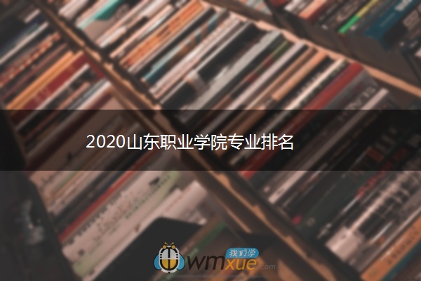 2020山东职业学院专业排名