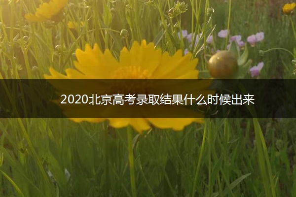 2020北京高考录取结果什么时候出来