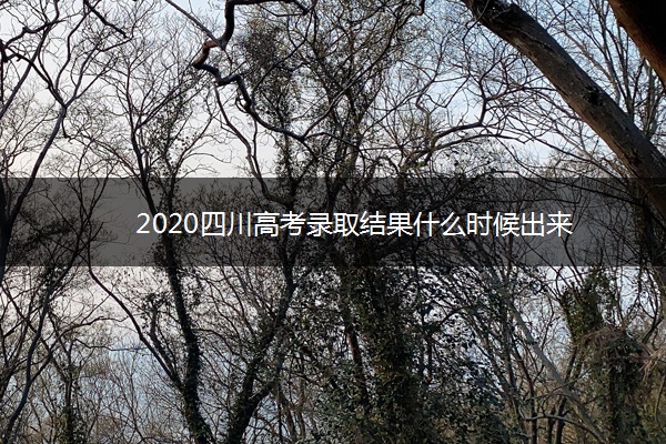 2020四川高考录取结果什么时候出来