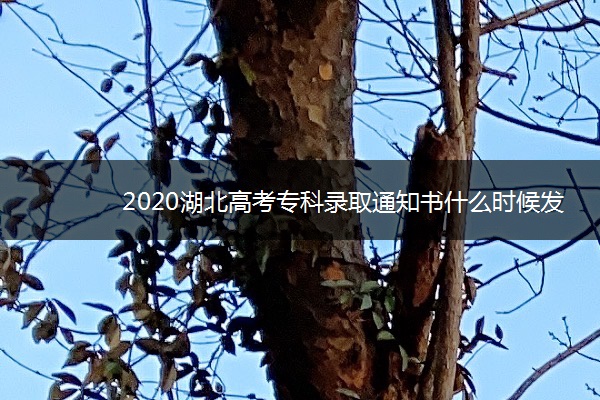 2020湖北高考专科录取通知书什么时候发放