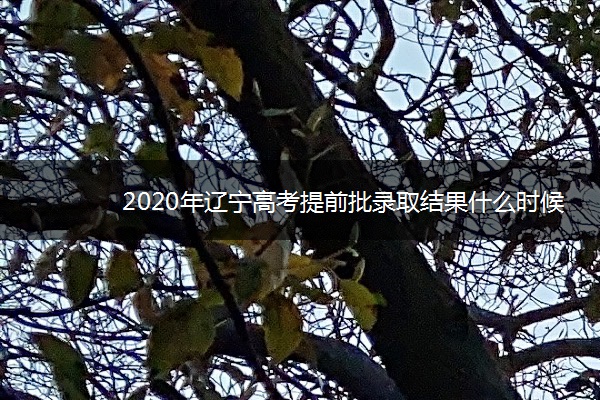 2020年辽宁高考提前批录取结果什么时候出来