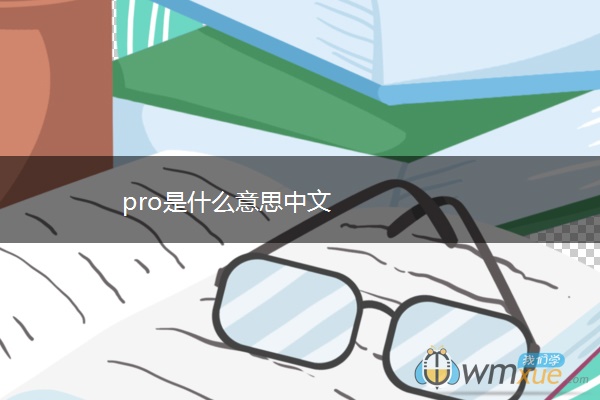 pro是什么意思中文