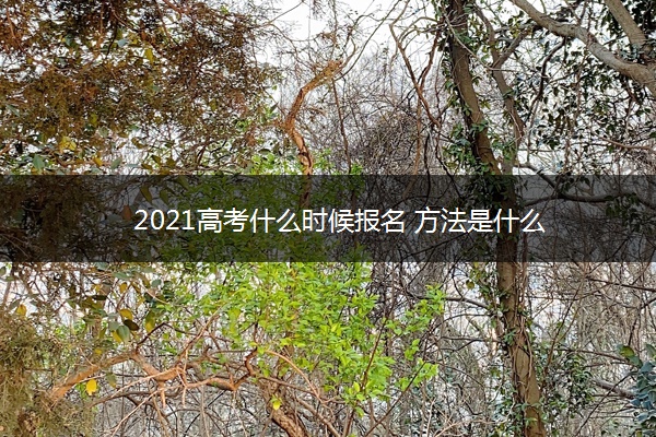 2021高考什么时候报名 方法是什么